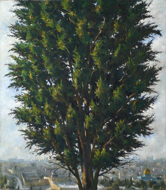 Cypress In Jerusalem, 2008