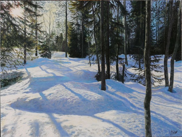 Snowy Landscape in Lapland
