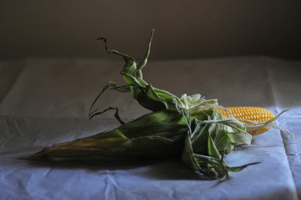Corn, 2015