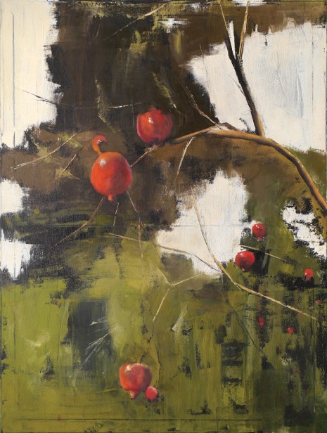 Pomegranates, 2015