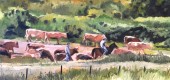 Cows in the Meadow, 2015