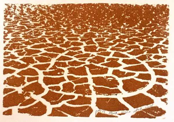 Cracked Earth