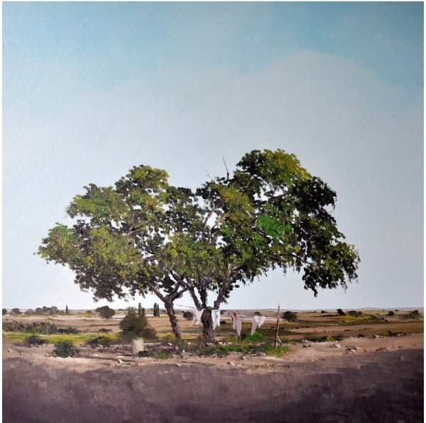 גבעת אלונים 1, 2017