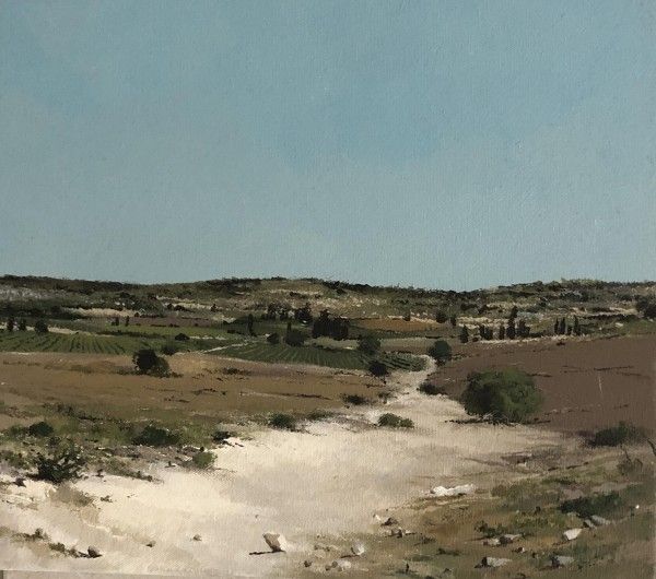 שפייה, 2019