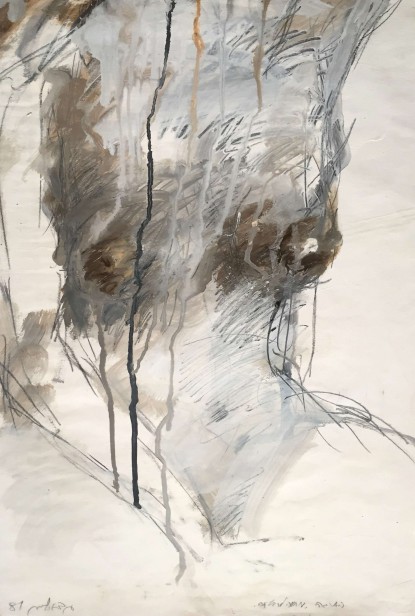 מחווה לריאליזם, 1981