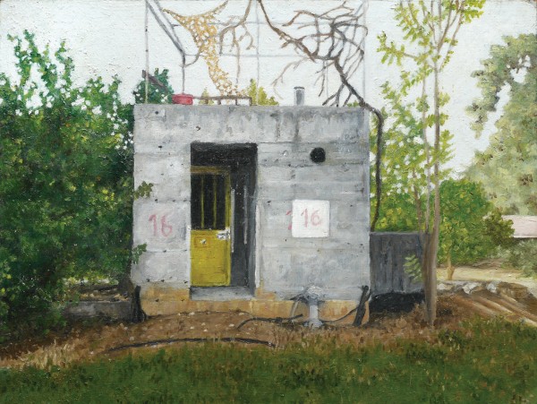 מקלט מס' 16, 2017