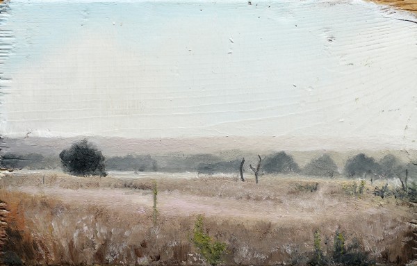 ללא כותרת, 2017