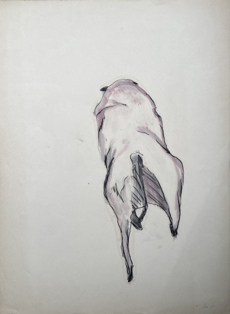 שור, 1995