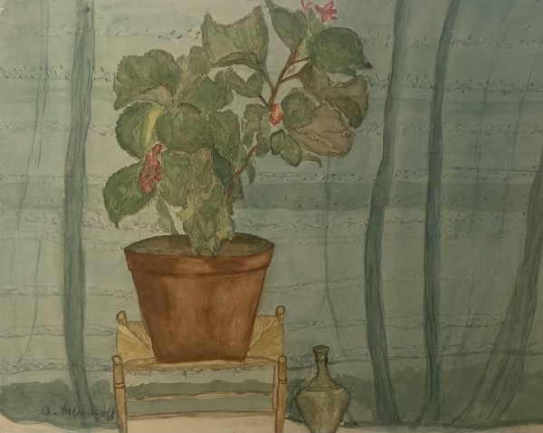 Interior and a flower pot,