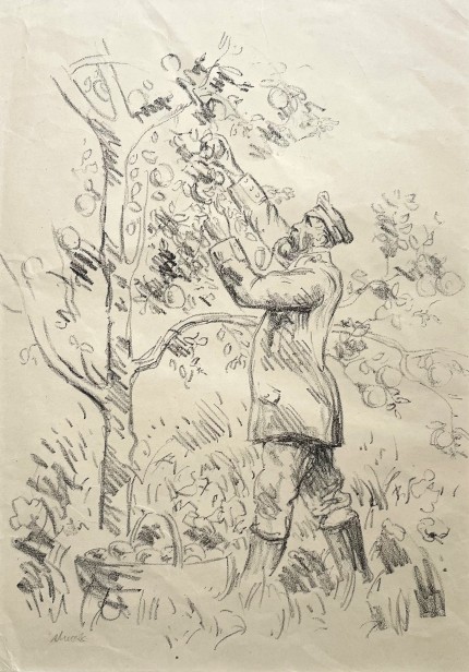 Soldier picking fruit,