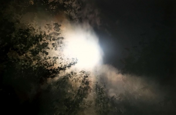 Untitled (Nightwatch), 2007-9