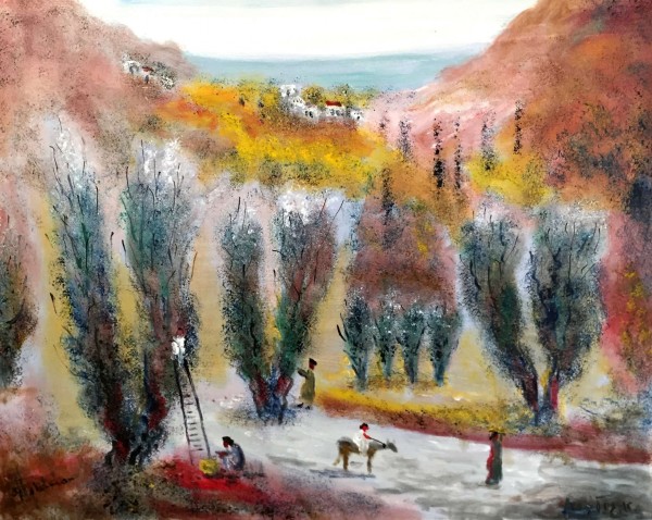 Olive Harvest