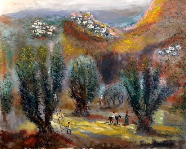 Olive Harvest In the Galilee