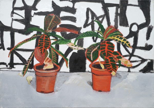 Plants, 2009