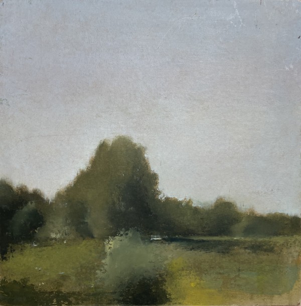 נוף, 2015