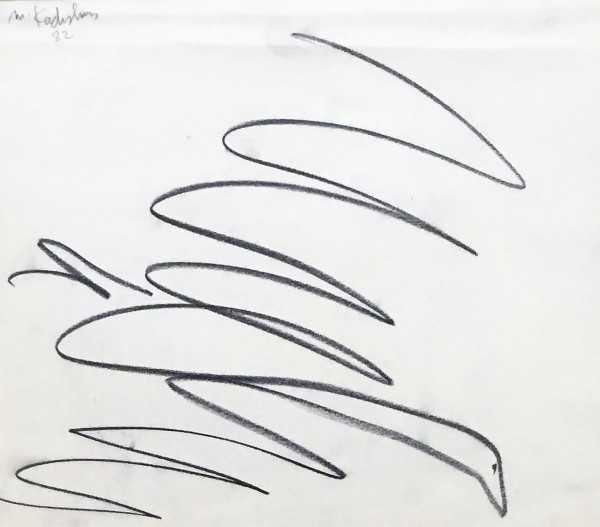 ציפורים, 1982