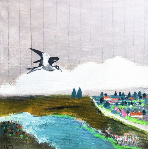 שחפית בנחל אלכסנדר