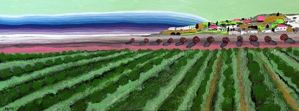 מטע אבוקדו בבן שמן