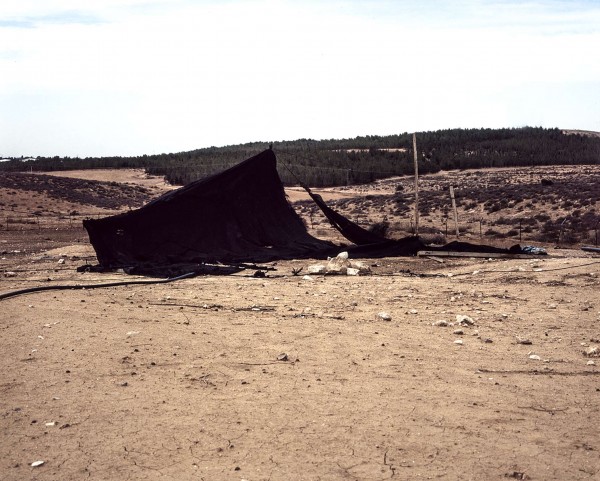 אוהל בדואי, 2009