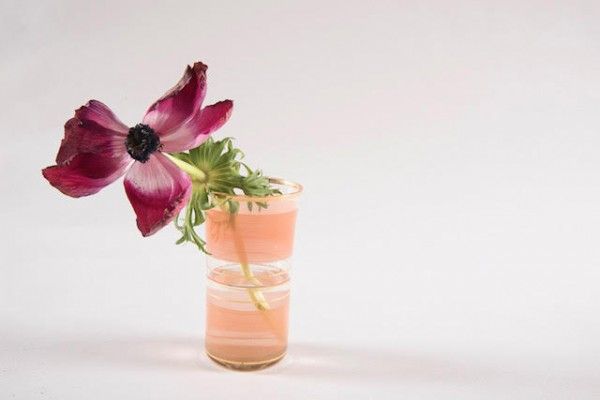 כלנית אדומה בכוס