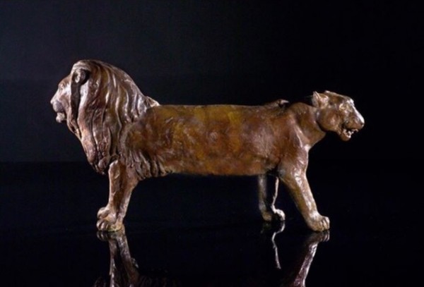 אריה ולביאה, 1992