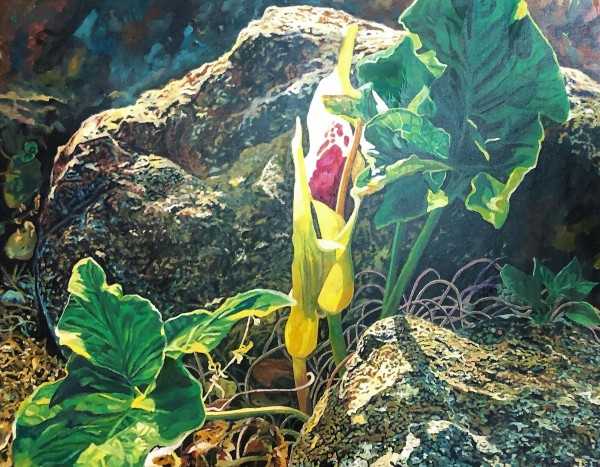 Vegetation in a Landscape