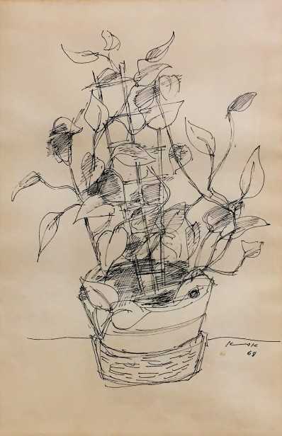 עציץ, 1968