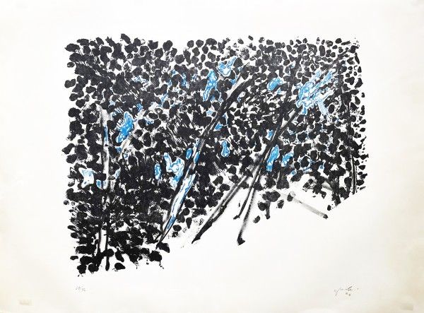 נוף, 1976