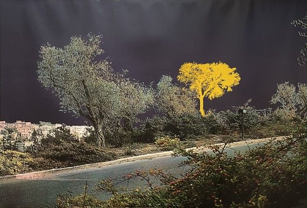 מחווה לבארנט ניומן (צהוב), 1973