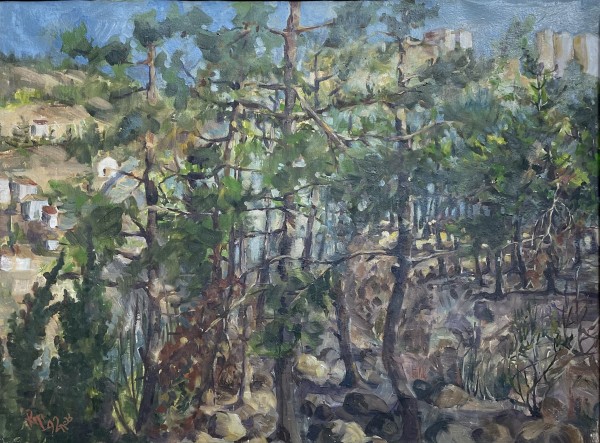 צפת, 1992
