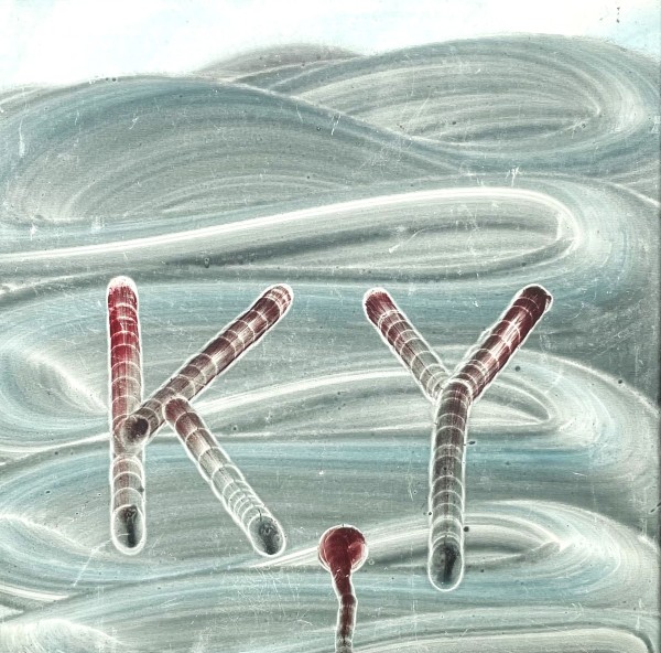 ללא כותרת, 1996