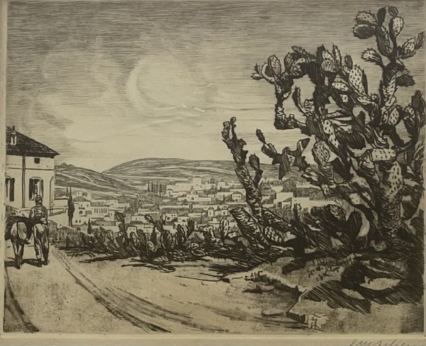 נוף עם שיחי צבר,