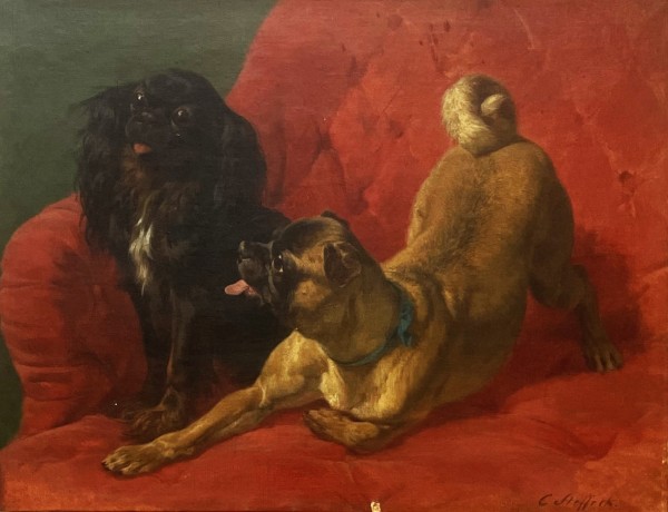 Two dogs,