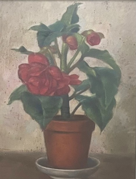 Rosr pot,