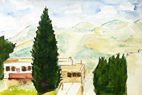 Cypress in the Landscape,