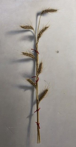 Wheat Stalks, 2018-19
