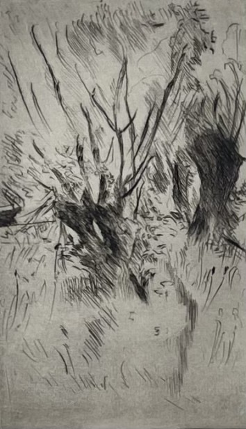 שיחי ערבה, 1916