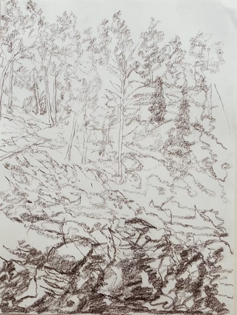 Rocks and trees near Jerusalem, 1993