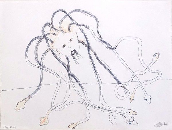 מדוזה, 2014