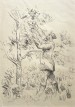 Soldier picking fruit,