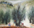 Olive Harvest in the Galilee, 1967