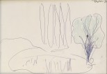 Landscape, 1980
