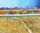 Sea Squills in Jezreel Valley