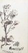Tree in Landscape