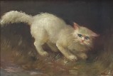 Cat,