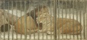 Lion cage, 1969