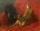 Two dogs,