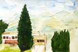 Cypress in the Landscape,