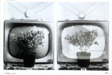 On-Off, 1974